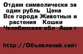 Отдам символически за один рубль › Цена ­ 1 - Все города Животные и растения » Кошки   . Челябинская обл.,Аша г.